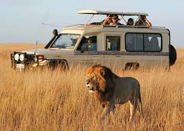 African safari